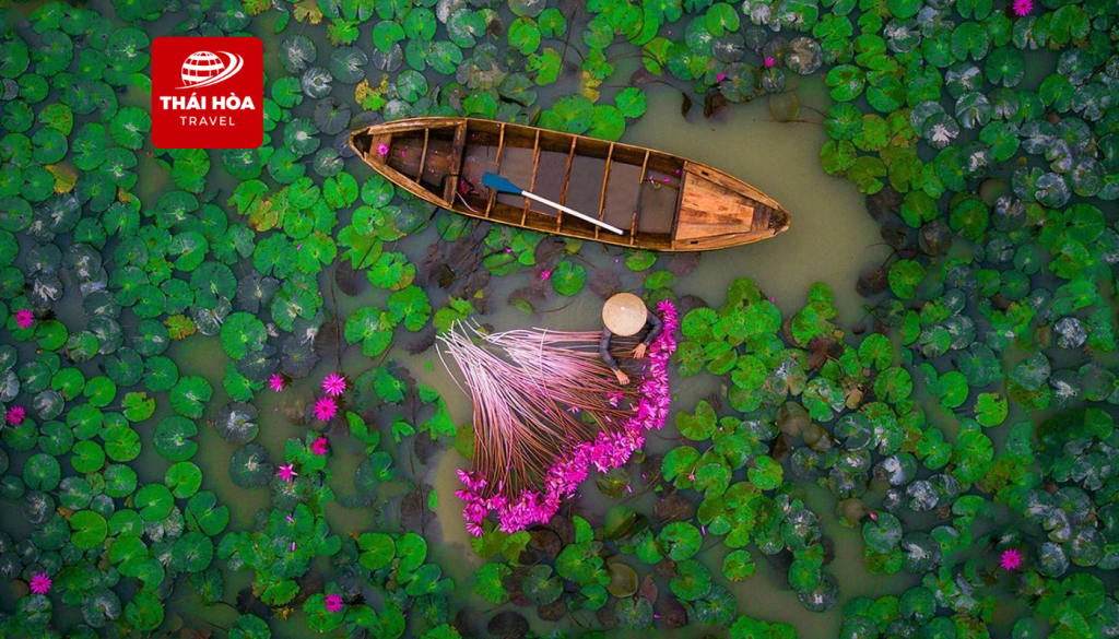 Trọn bộ kinh nghiệm du lịch Miền Tây cho người lần đầu khám phá