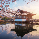 Tây Hồ nổi tiếng với vẻ đẹp nên thơ, trữ tình