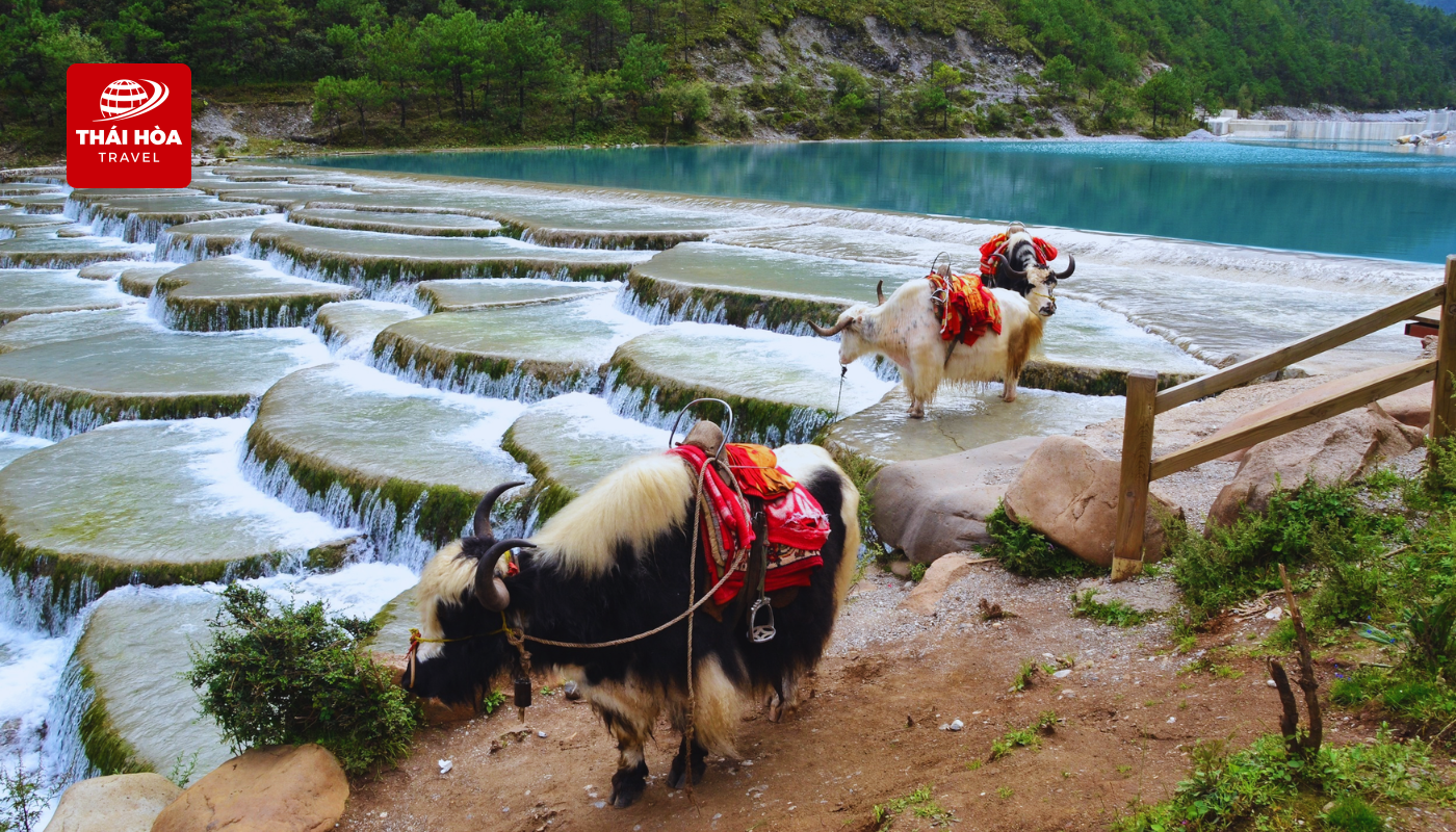 Lam Nguyệt Cốc - Bạch Thủy Hà