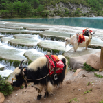 Lam Nguyệt cốc - Thung lũng Trăng xanh