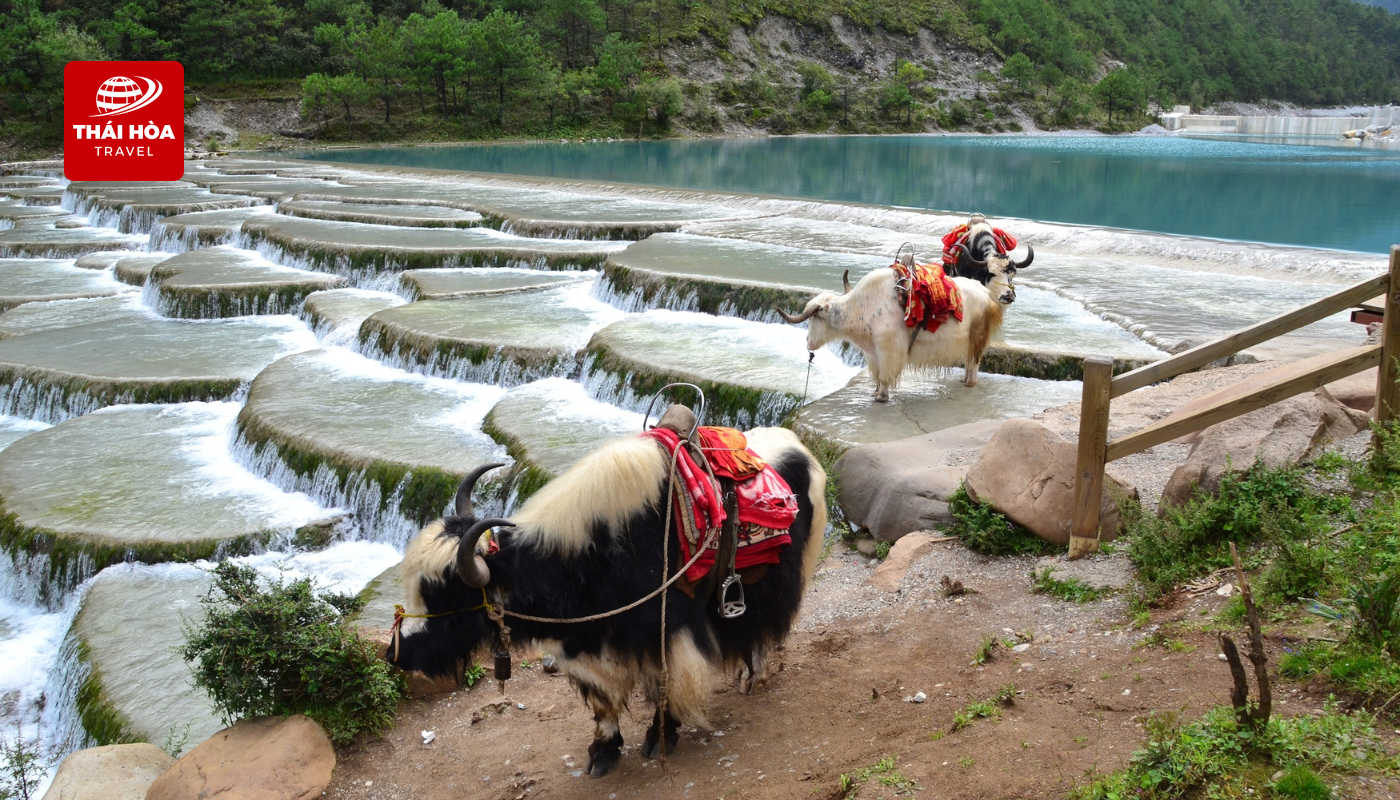 Lam Nguyệt cốc - Thung lũng Trăng xanh