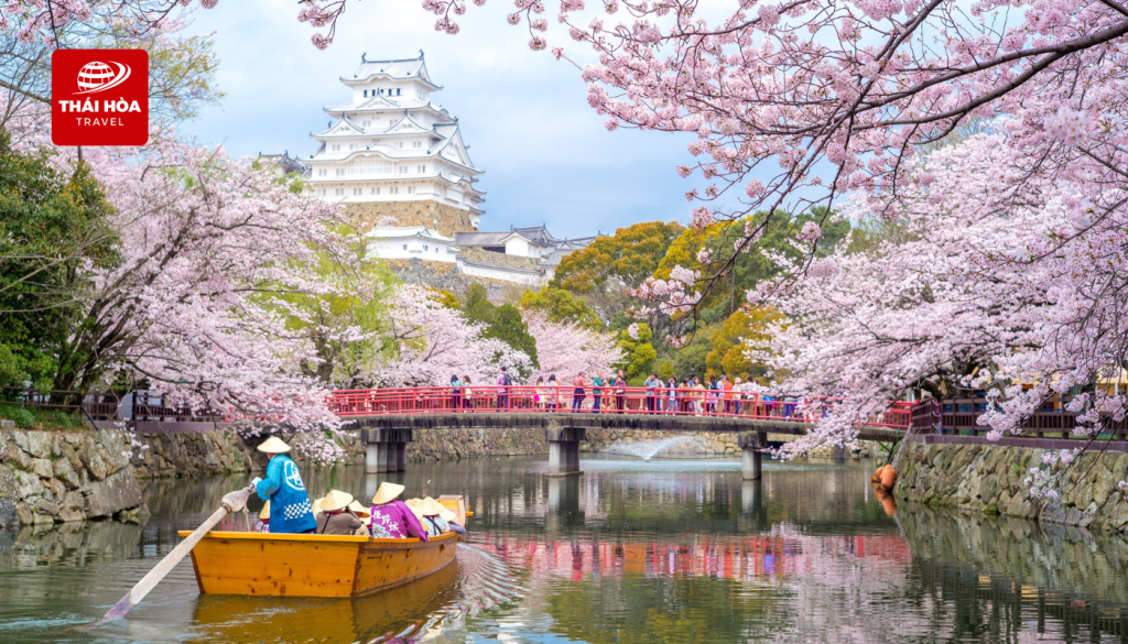 Kema Sakuranomiya - Điểm ngắm hoa anh đào nổi tiếng
