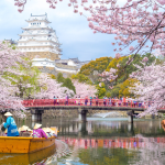 Kema Sakuranomiya - Điểm ngắm hoa anh đào nổi tiếng