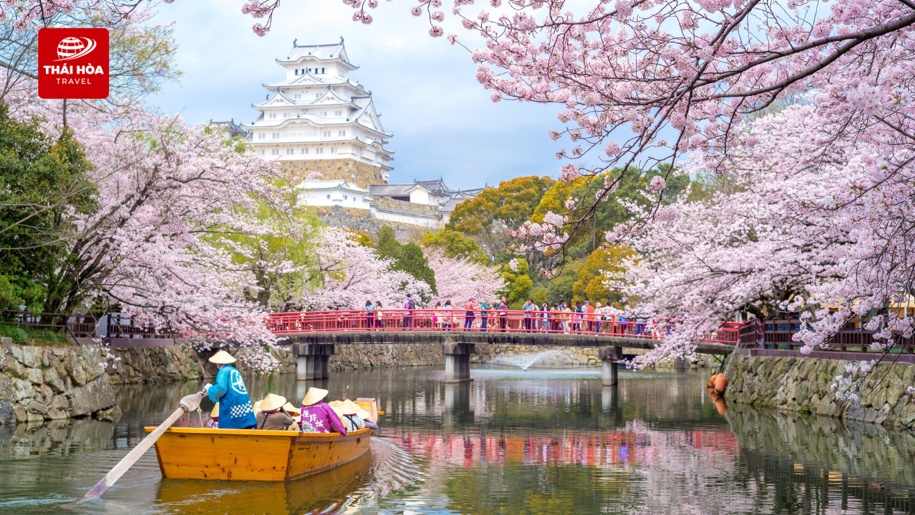 Kema Sakuranomiya - Điểm ngắm hoa anh đào nổi tiếng