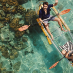 Đảo san hô Koh Larn