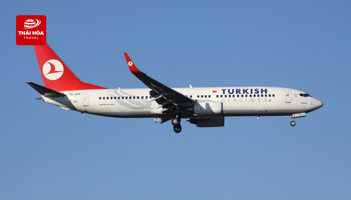 Thái Hòa Travel hỗ trợ làm thủ tục xuất cảnh cho chuyến bay Turkish