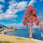 Hành lang Nhĩ Hải