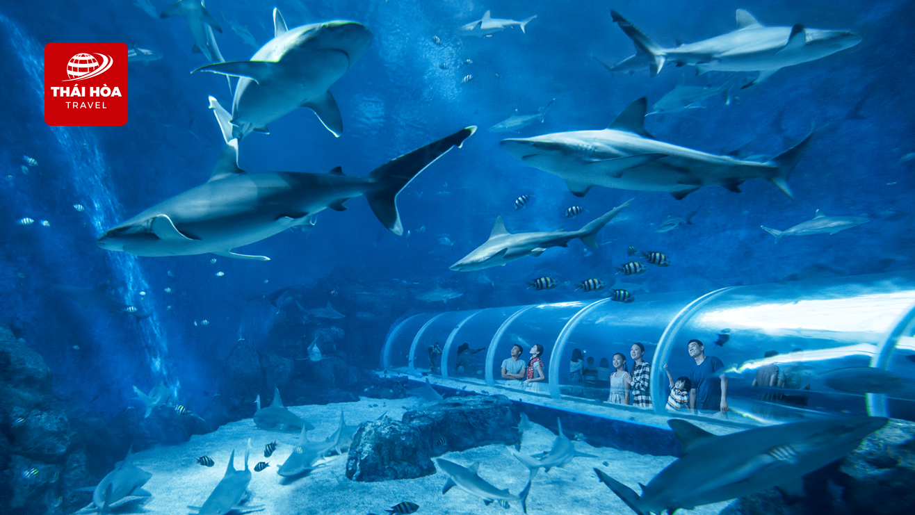 Thủy cung lớn nhất thế giới