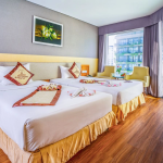 Phòng Senior nhìn ra đại dương