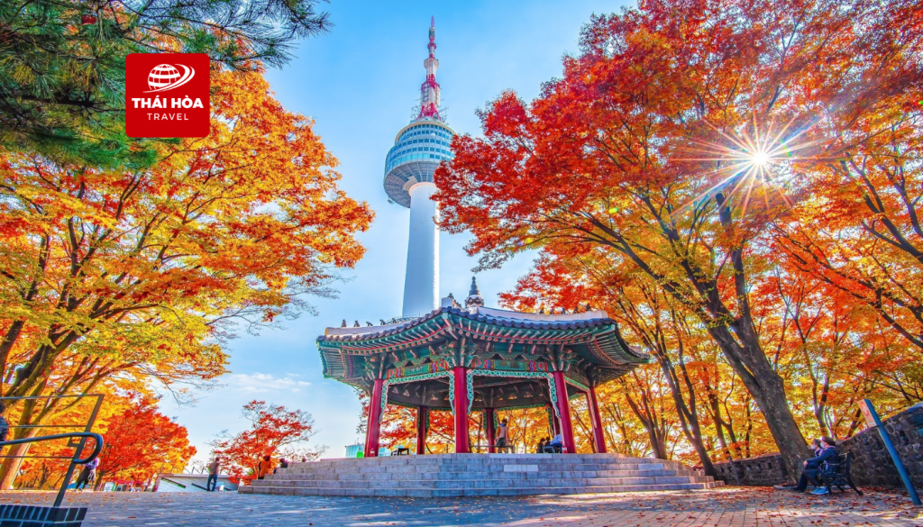 Tour Hàn Quốc 4N4Đ: Seoul - Nami Island - Everland