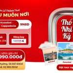 don-le-thanh-thoi-12