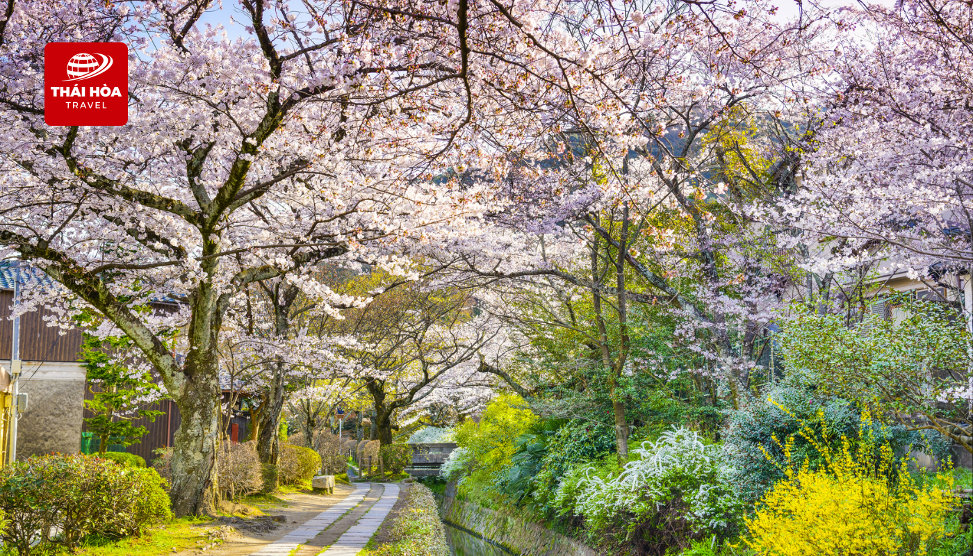 Con đường gắn liền với tên tuổi của triết gia Nishida Kitaro