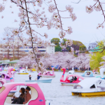 Ueno là công viên công cộng đầu tiên của Nhật