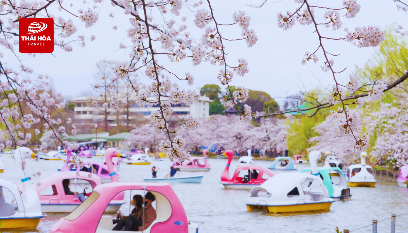 Ueno là công viên công cộng đầu tiên của Nhật