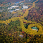 Cung Mỹ Linh là món quà Tưởng Giới Thạch dành tặng vợ