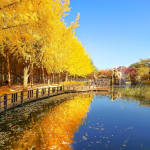 Đảo Nami - Bối cảnh bộ phim bản tình ca mùa đông