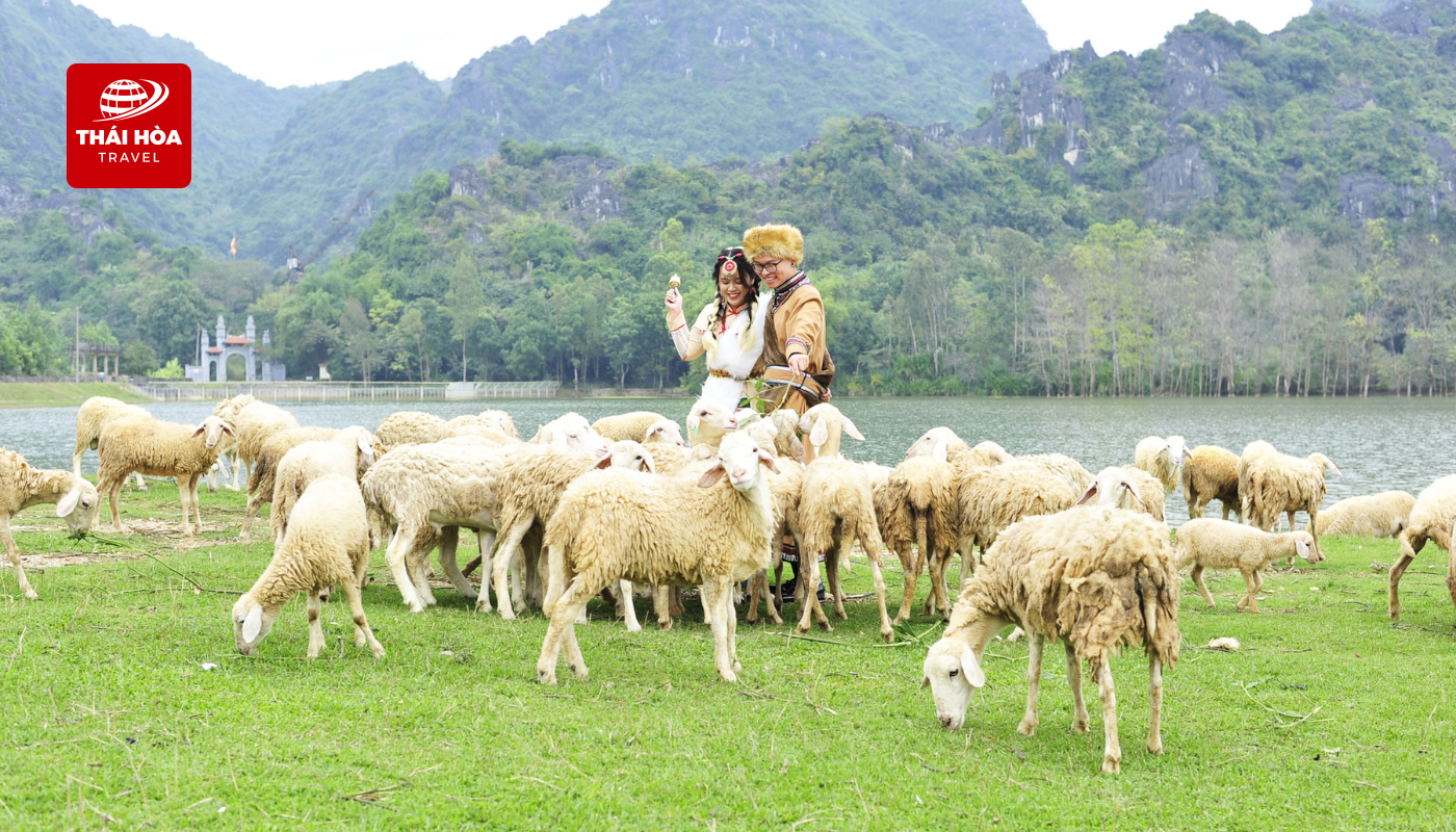 Đồng cừu Suối Nghệ