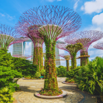 Gardens by the Bay - Quần thể vườn sinh thái nhân tạo