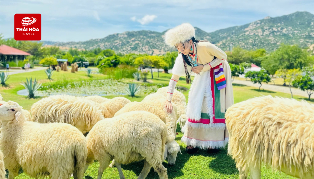 Khu du lịch Tanyoli