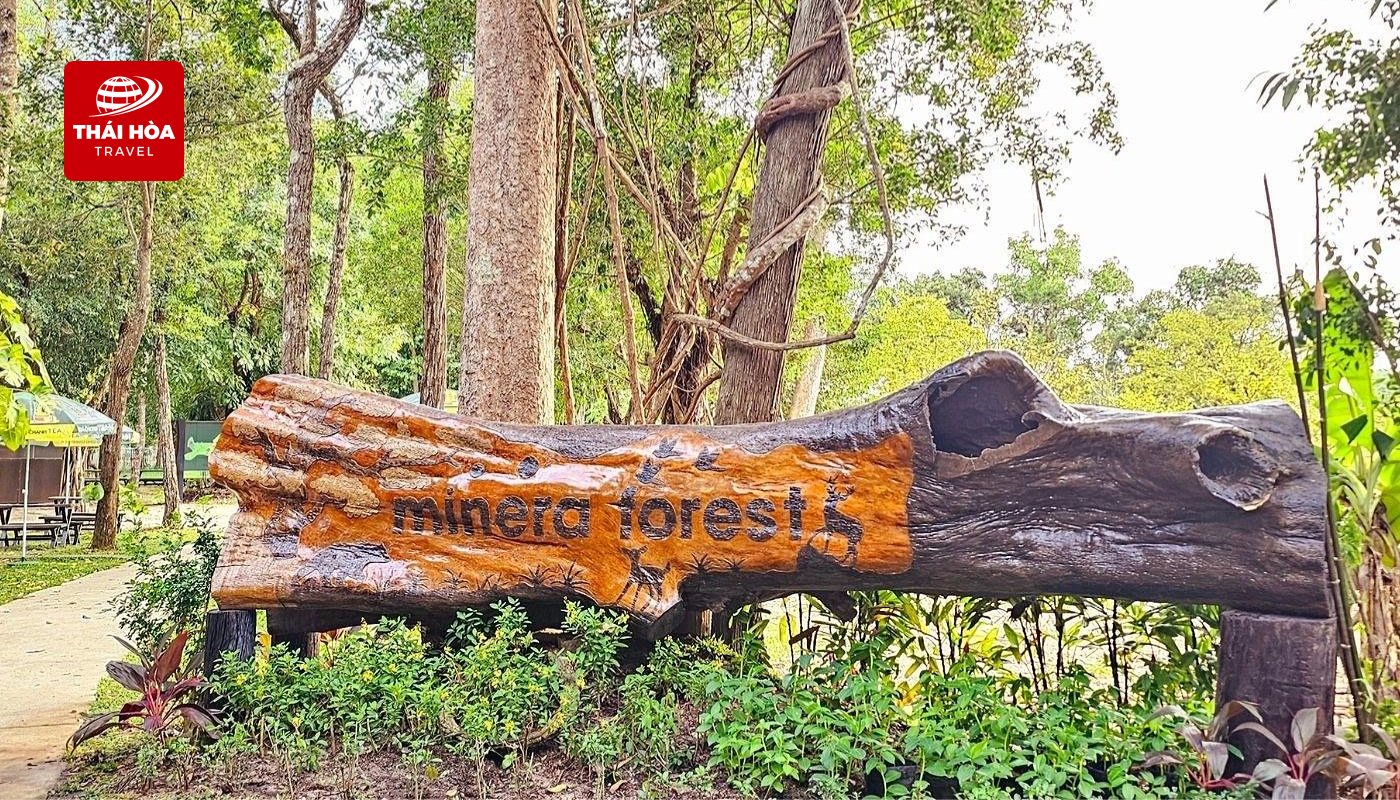 Khám phá khu rừng nhiệt đới tại Minera Forest