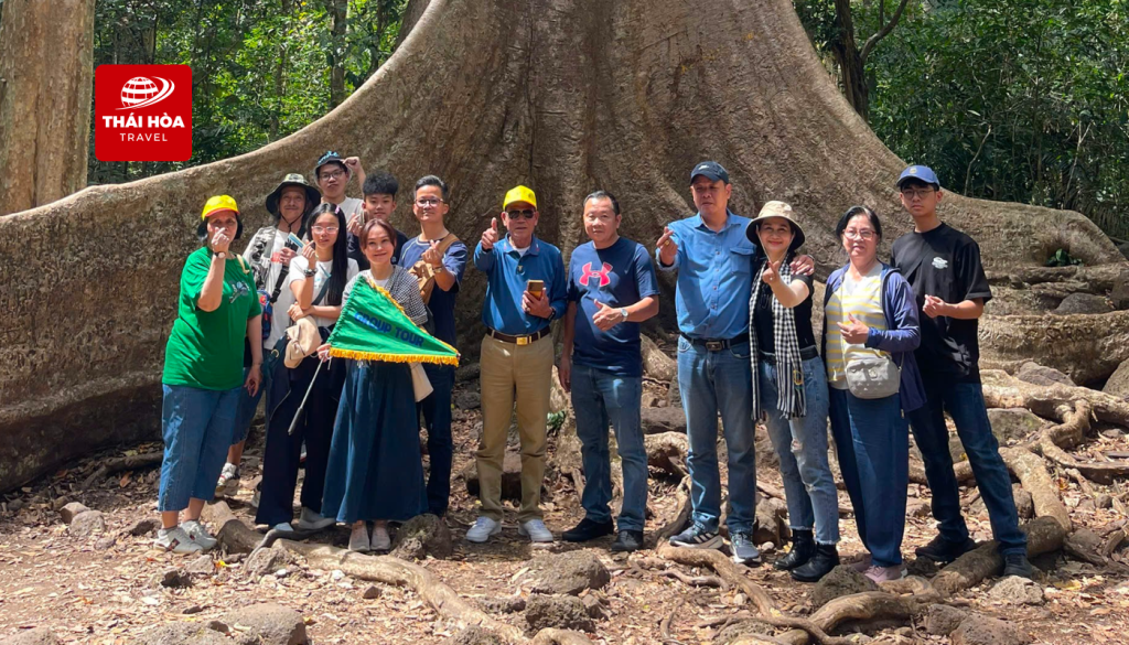 Nam Cát Tiên - Bảo Lộc 2N1Đ | Khởi hành ngày 19/02/2026