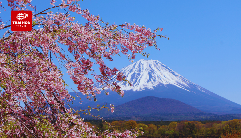 Núi Phú Sĩ - Di sản Văn hóa Thế giới