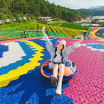 Trượt phao khô là trò chơi "hot" nhất tại Puppy Farm