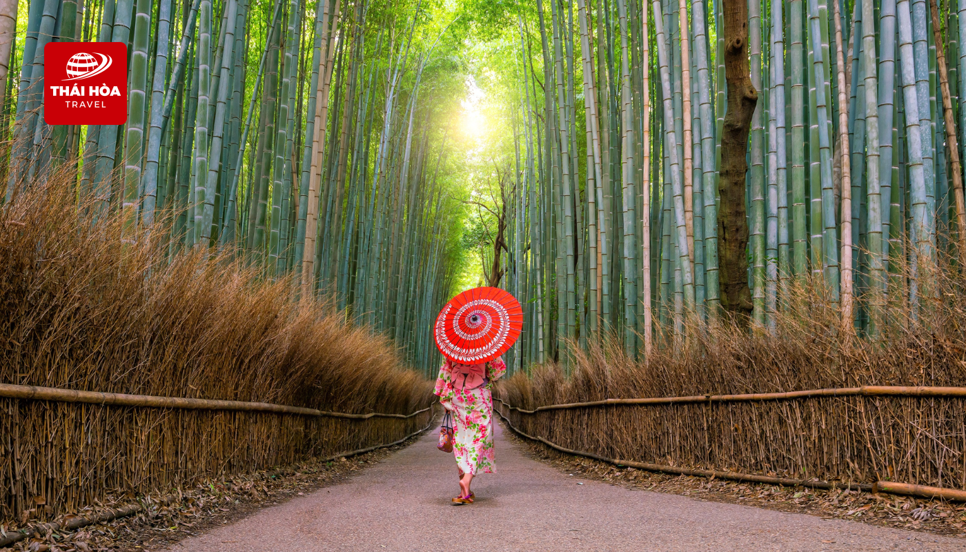 Rừng tre Arashiyama
