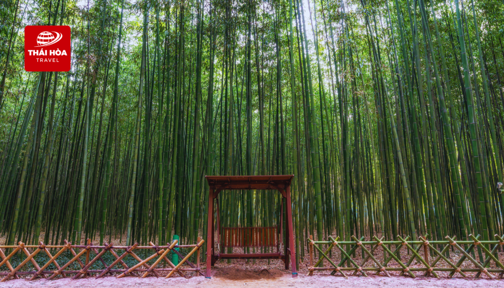 Taehwagang - Vườn quốc gia thứ hai của Hàn Quốc