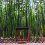 Taehwagang - Vườn quốc gia thứ hai của Hàn Quốc