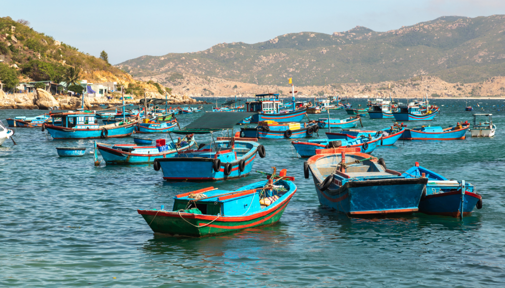 Tour Bình Hưng 2N2Đ: Ninh Chữ - Vĩnh Hy - Đồng Cừu - Vườn Nho