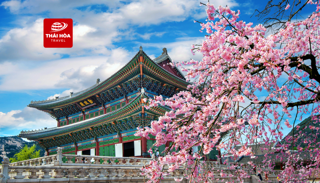 Tour Hàn Quốc 6N5Đ: Busan - Daegu - Seoul