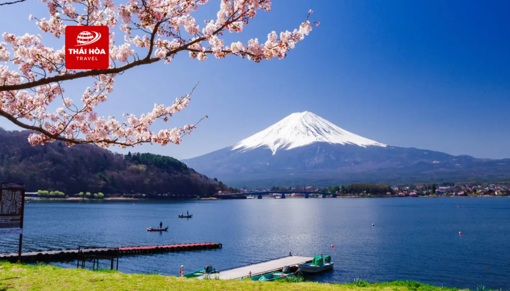 Tour Nhật Bản 5N4Đ: Tokyo - Fuji - Yamanashi - Narita