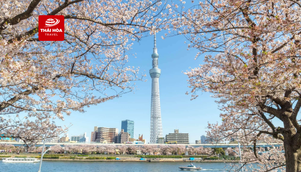 Tour Nhật Bản 5N5Đ: Osaka - Nara - Kyoto - Nagoya - Yamanashi - Tokyo