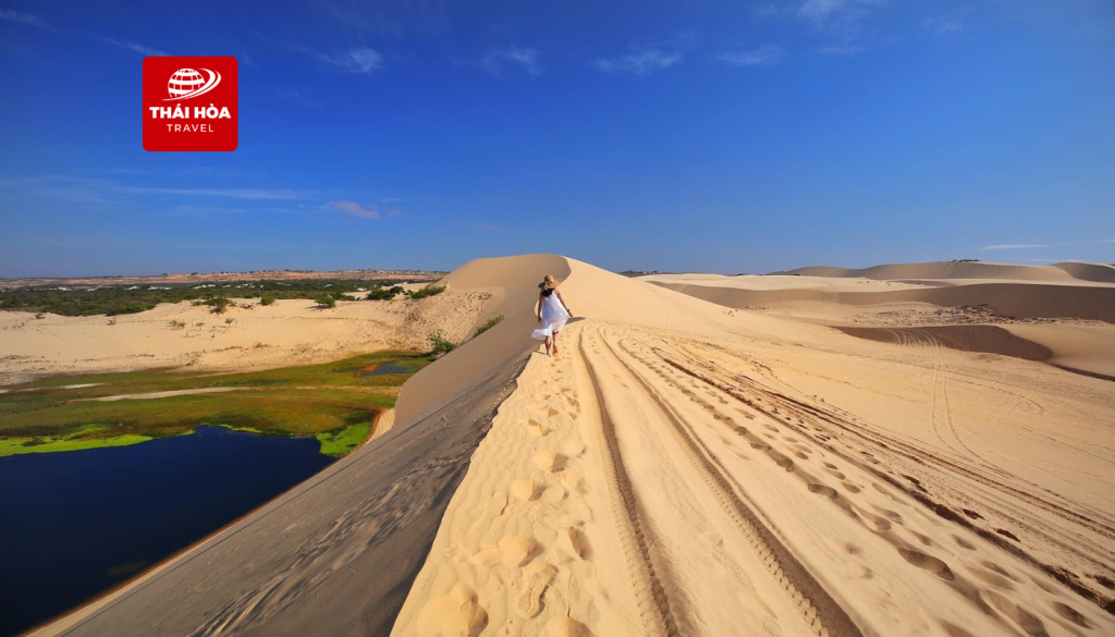 Tour Phan Thiết 3N2Đ: Núi Tà Cú - Bàu Trắng - Đồi Cát Bay - NovaWorld