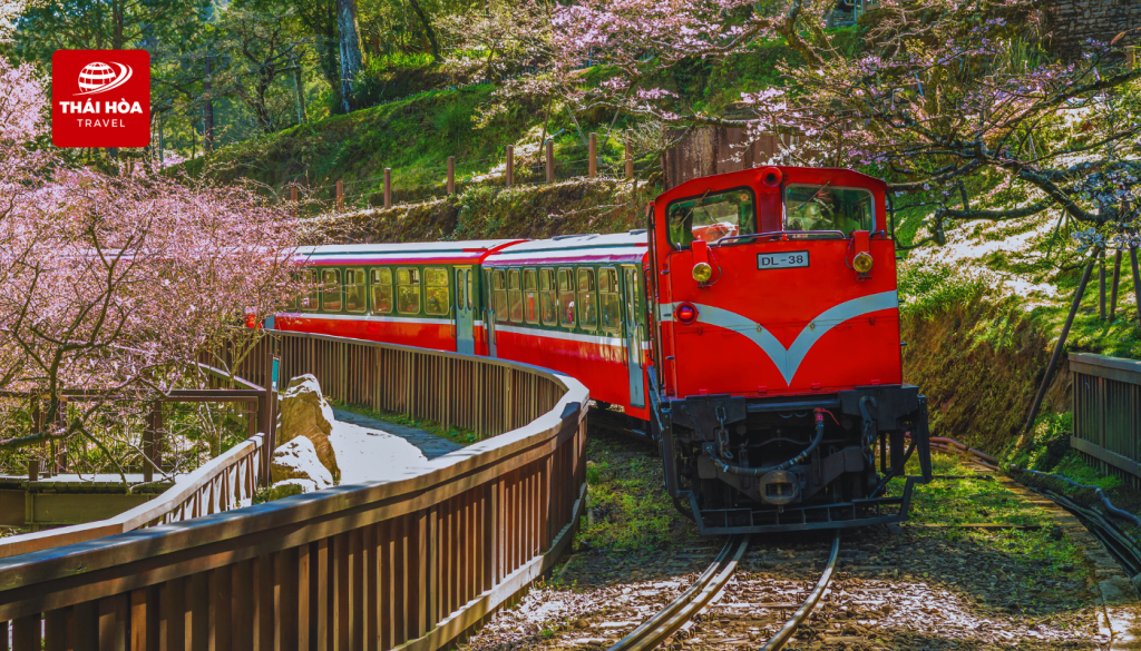 Thái Hòa Travel gửi tặng vé tàu hỏa xuyên rừng