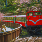 Thái Hòa Travel gửi tặng vé tàu hỏa xuyên rừng