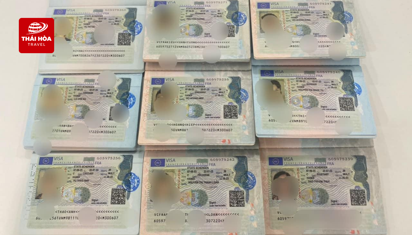 Thái Hòa Travel giúp khách hàng nâng cao tỷ lệ đậu visa ngay từ lần đầu nộp hồ sơ