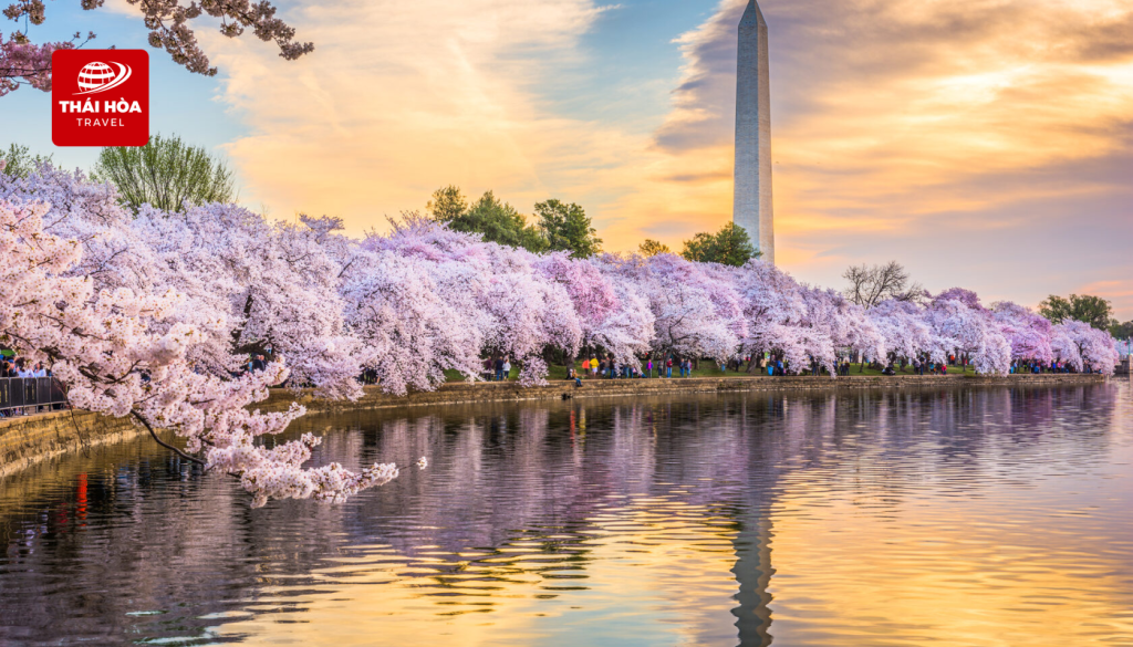 Hồ Tidal Basin: Hồ nước nhân tạo