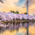 Hồ Tidal Basin: Hồ nước nhân tạo