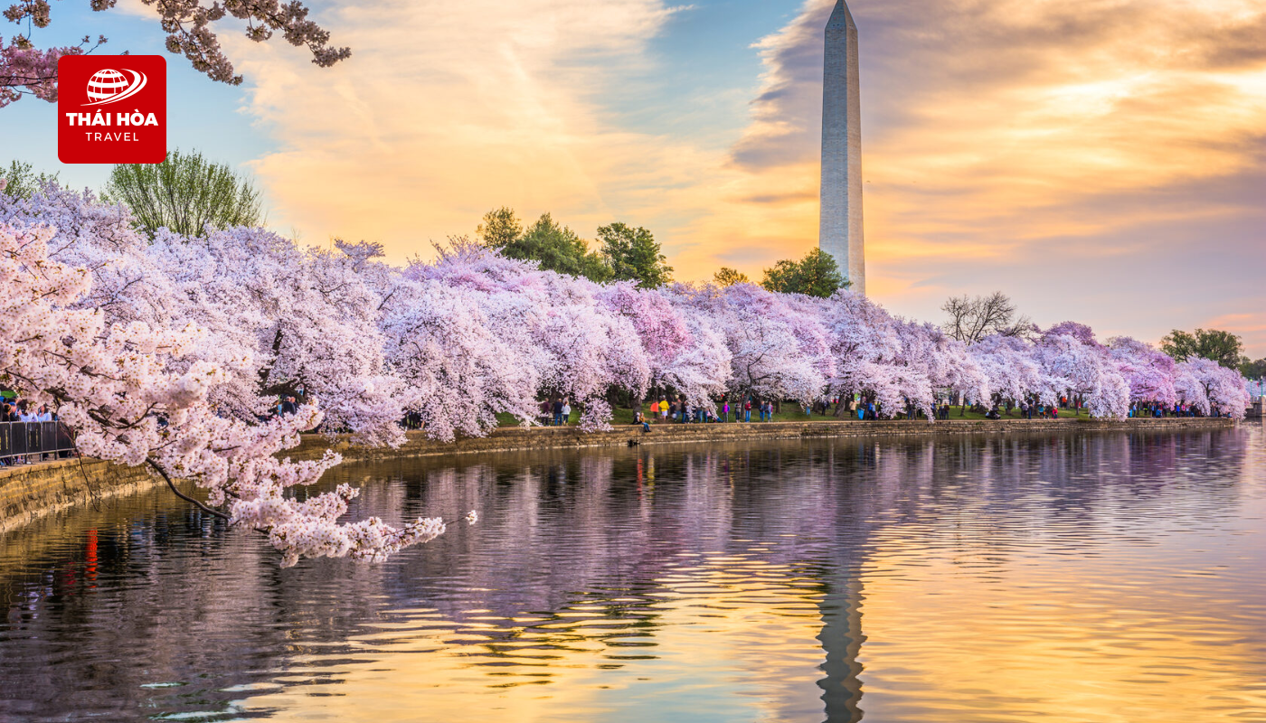 Hồ Tidal Basin: Hồ nước nhân tạo