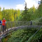 Cầu treo Capilano Suspension