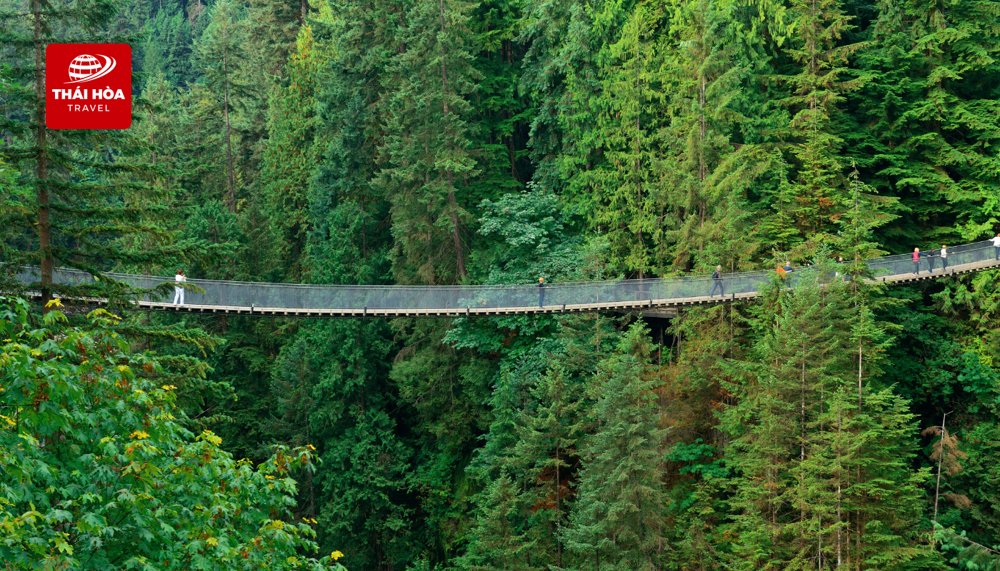 Cầu treo Capilano Suspension