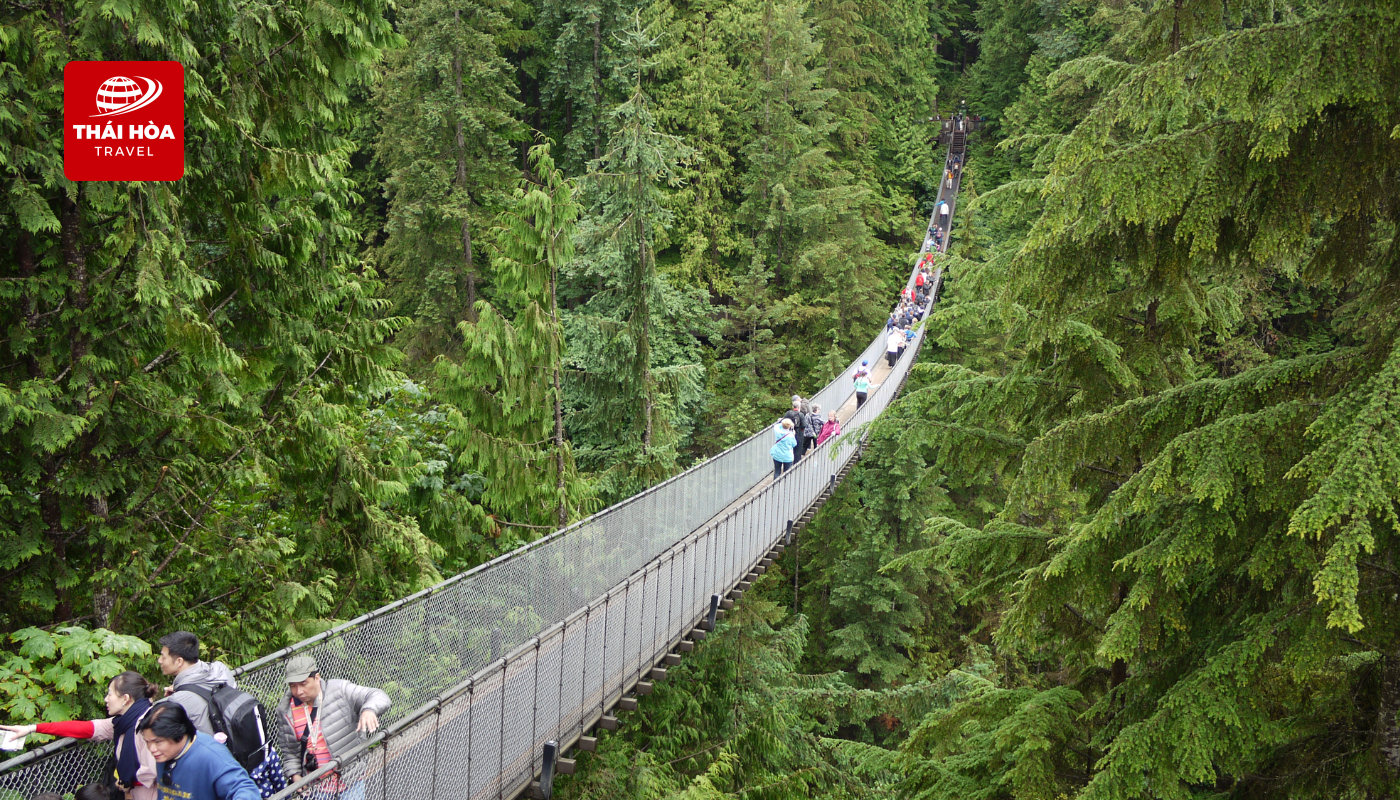Cầu treo Capilano Suspension
