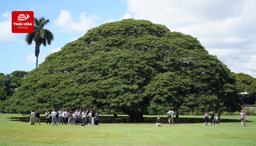 Công viên Moanalua