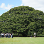 Công viên Moanalua
