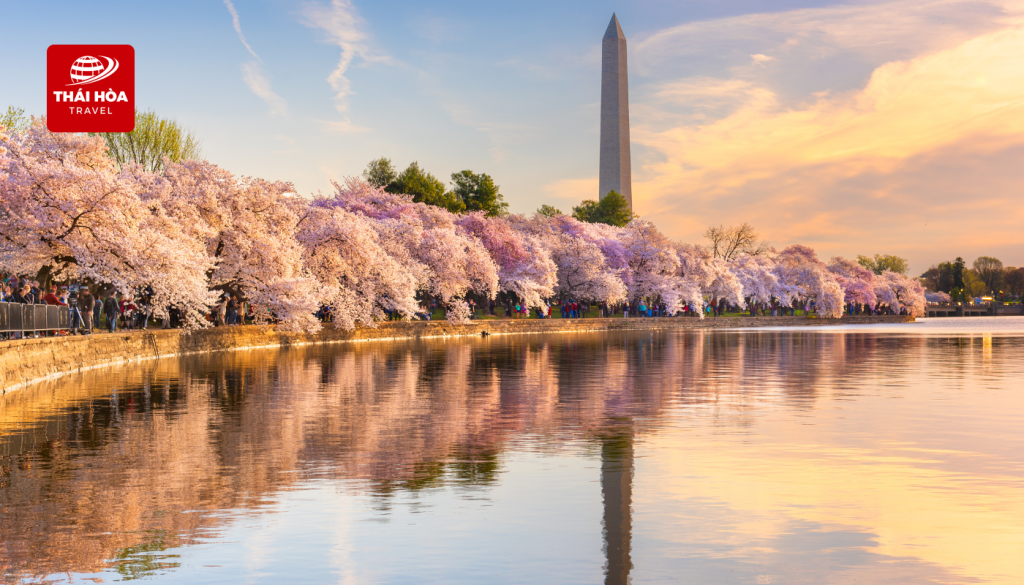 Hồ Tidal Basin: Hồ nước nhân tạo rộng lớn và thơ mộng