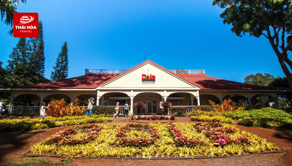Nông trại dứa Dole