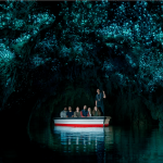 Hang động Waitomo Glowworm