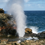 Blowhole